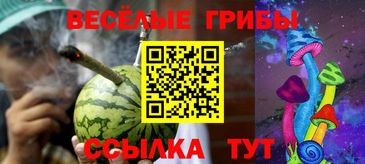 Галлюциногенные грибы Cubensis Полевской
