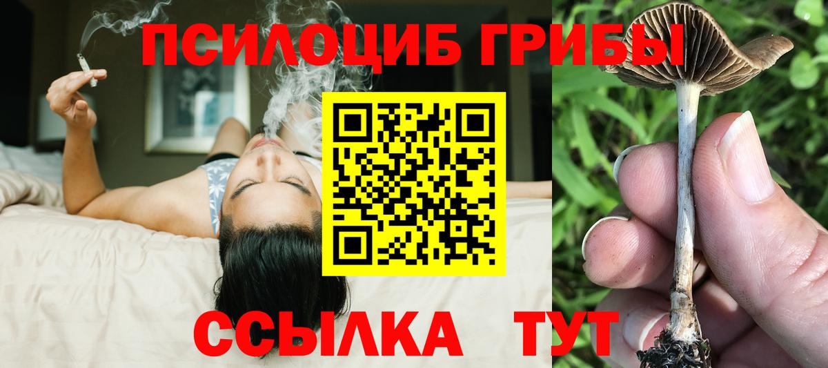 Галлюциногенные грибы прущие грибы  Вход с VPN  Полевской 